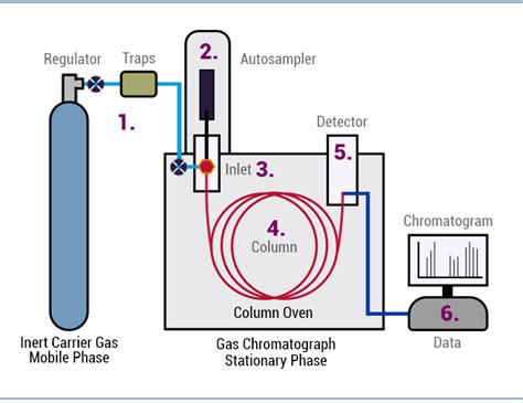 how does gas chromotography work